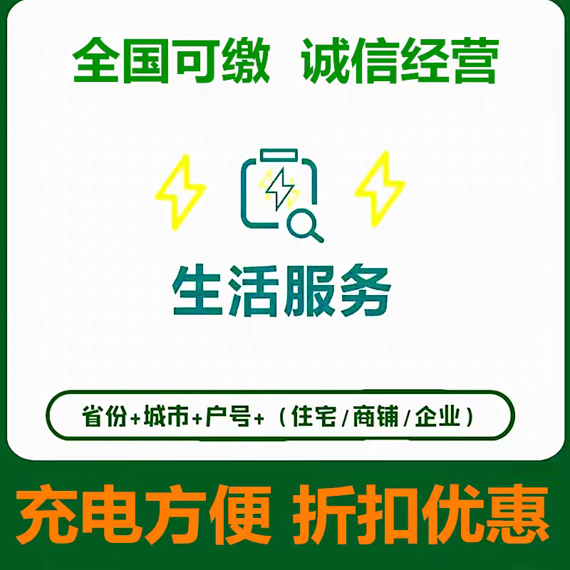 /国网/电费/必需品200元