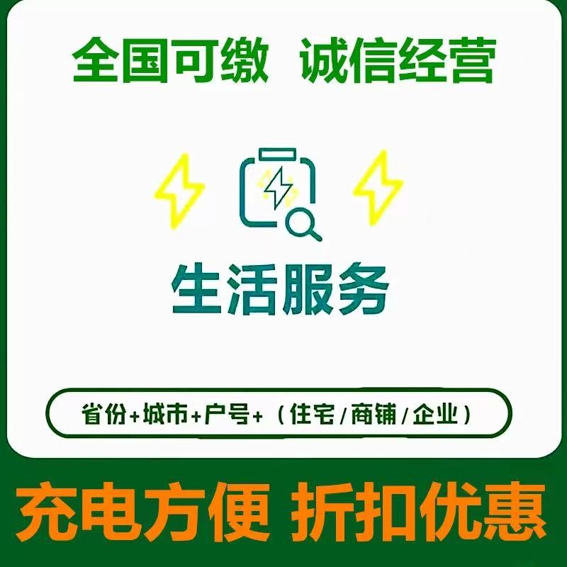 /国网/电费/必需品500元